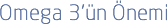 Omega 3 Önemi